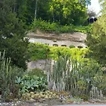 Am Waldrand Herdwangen-Schönach