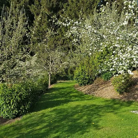 Am Waldrand Daire Herdwangen-Schönach