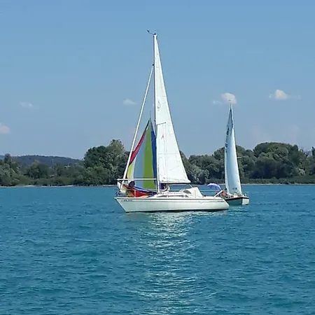 Am Waldrand Herdwangen-Schönach