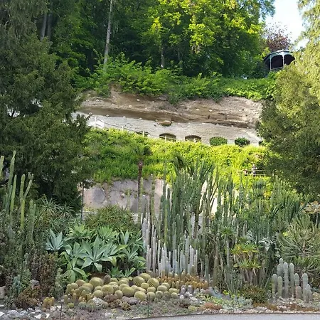 Am Waldrand Herdwangen-Schönach
