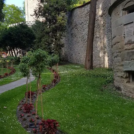 Am Waldrand Herdwangen-Schönach